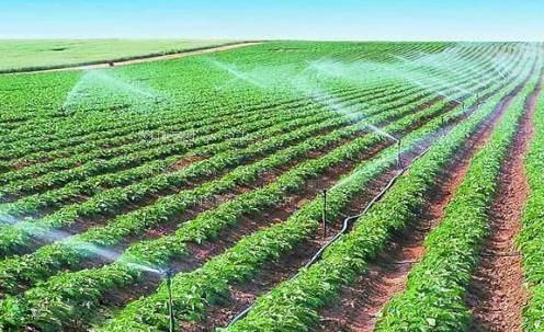 污逼草农田高 效节水灌溉